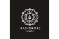 Raindrops DAO